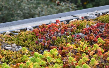 the cost of Denholm green roof installation
