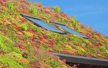 Denholm living roof systems